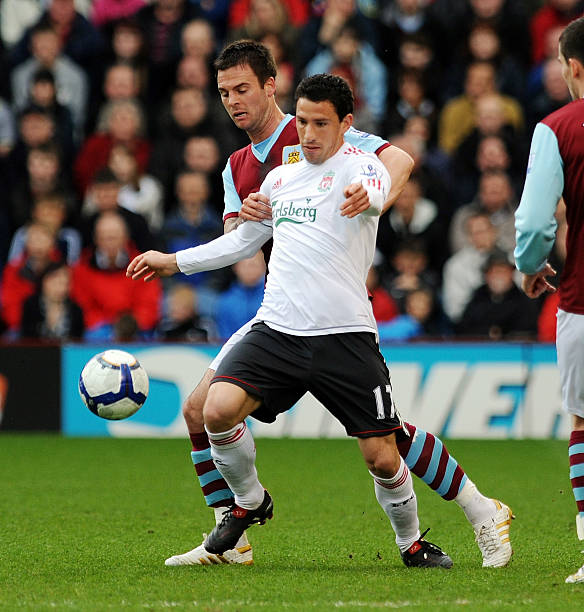 适应欧洲的 适应欧洲的