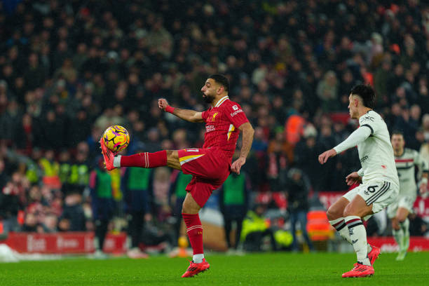 年来对众多 年来对众多