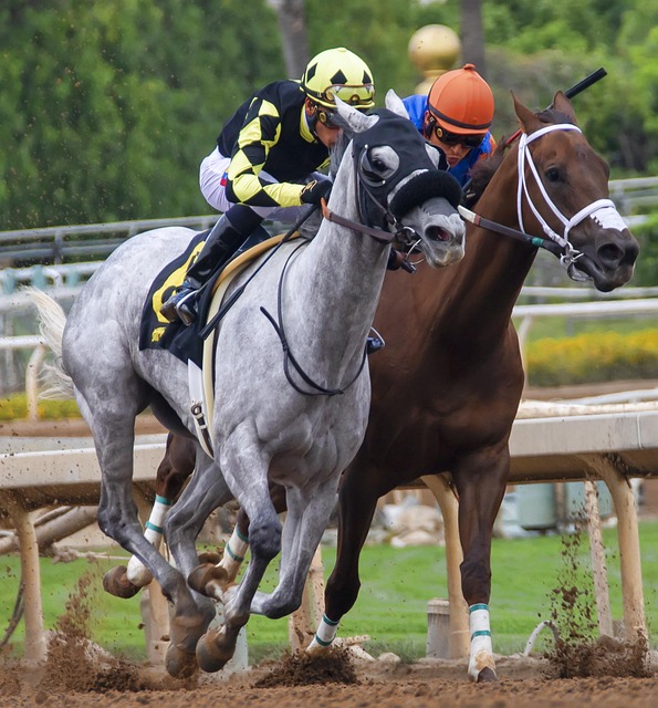 这位伊朗前 这位伊朗前